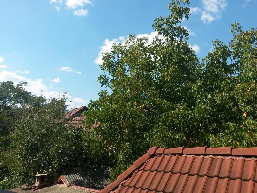 Pensiunea Lorincz *** Panzio Sovata Exterior foto