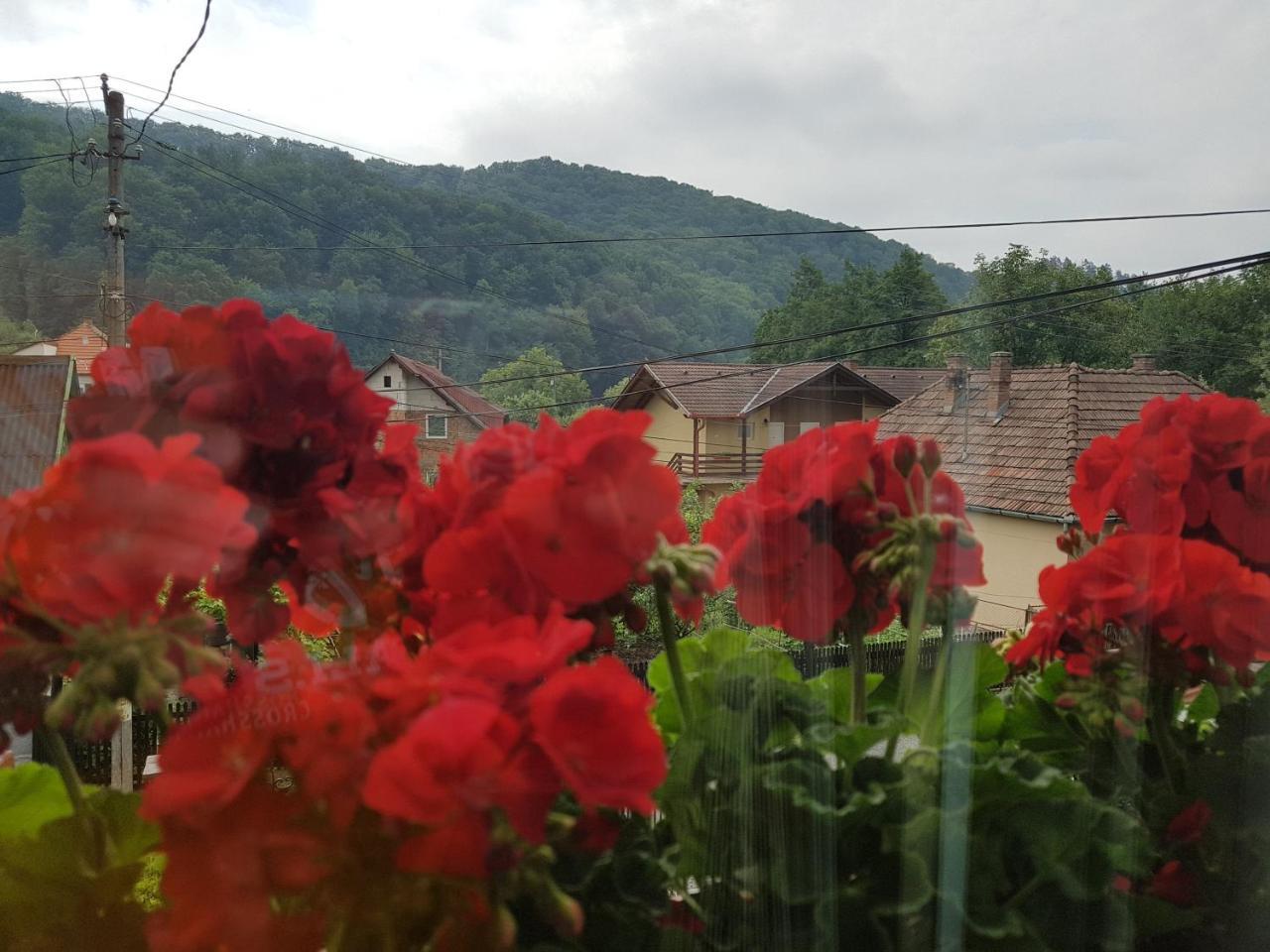 Pensiunea Lorincz *** Panzio Sovata Exterior foto